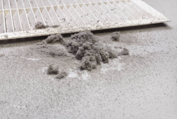 Best Commercial Air Duct Cleaning  in Richnd, MO